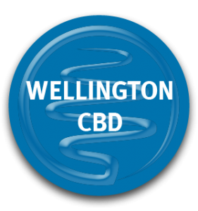Wellington CBD