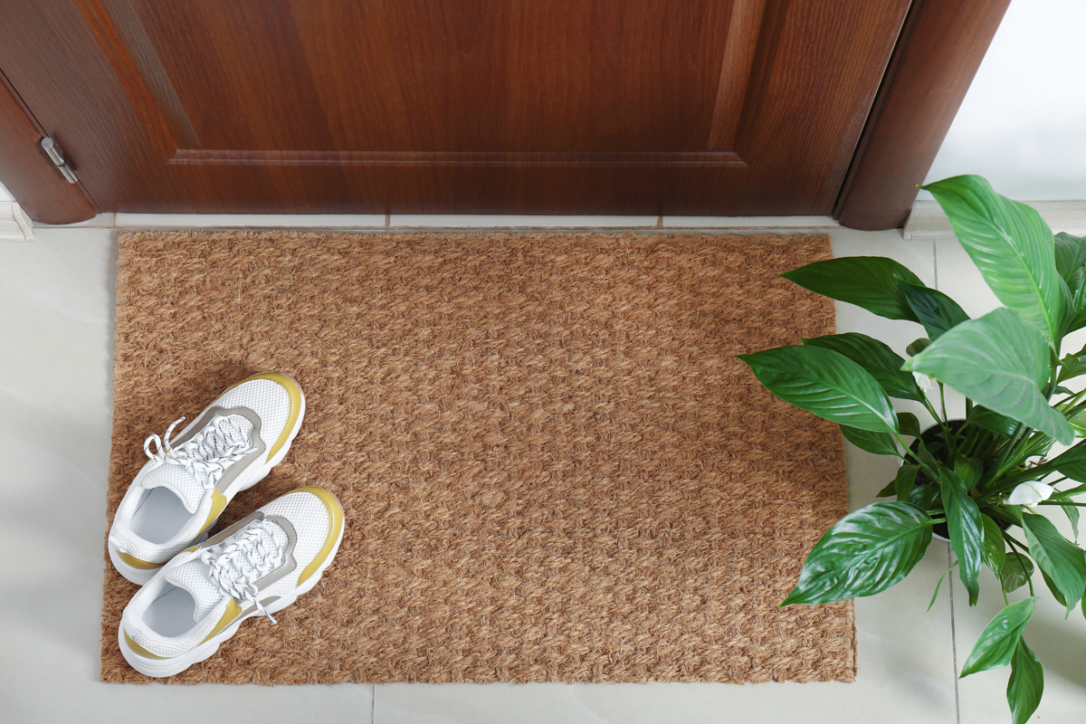 New clean mat with shoes near entrance door and houseplant